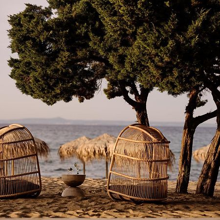 Hotel Cove Paros Nausa Exteriér fotografie